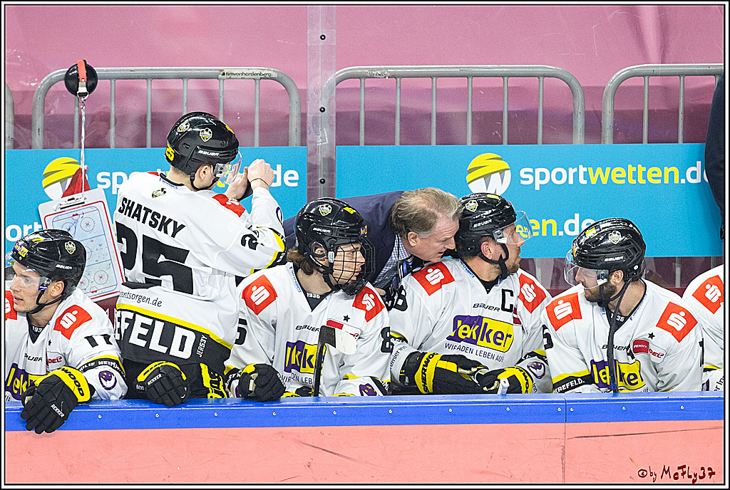 PENNY DEL;  Koelner Haie - Krefeld Pinguine; Koeln, 24.02.2021